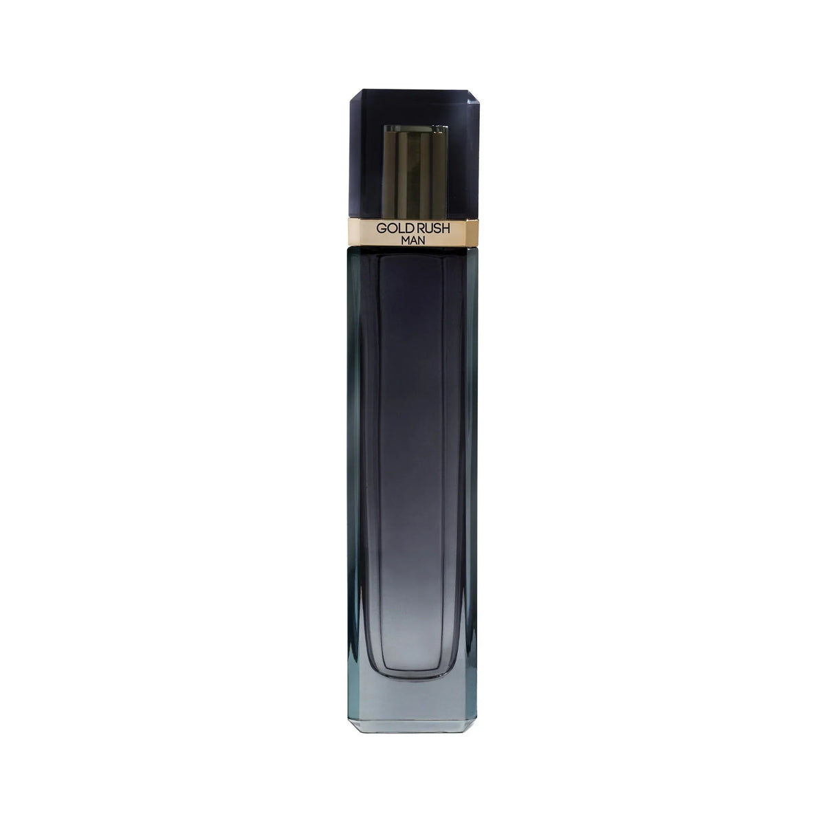 Paris Hilton Gold Rush Perfume Para Hombre Eau De Toilette (100mL/3.4oz)