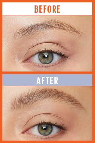 264 CLEAR- Maybelline Tattoo Studio Brow Lift Stick